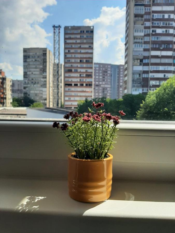 Ferienwohnung Amigi SJJ Exterior foto